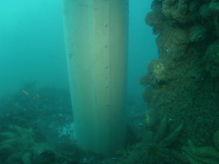 Fawkner Beacon Pile in seabed underwater by PDS | Professional Diving ...